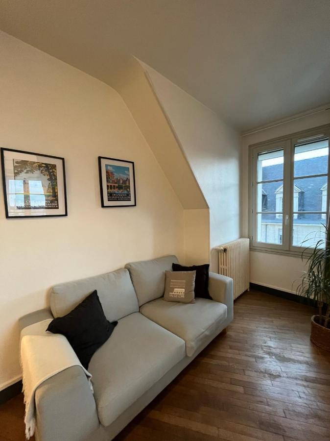 Entre Loire & Chateau - Vue Exceptionnelle A Blois Dış mekan fotoğraf