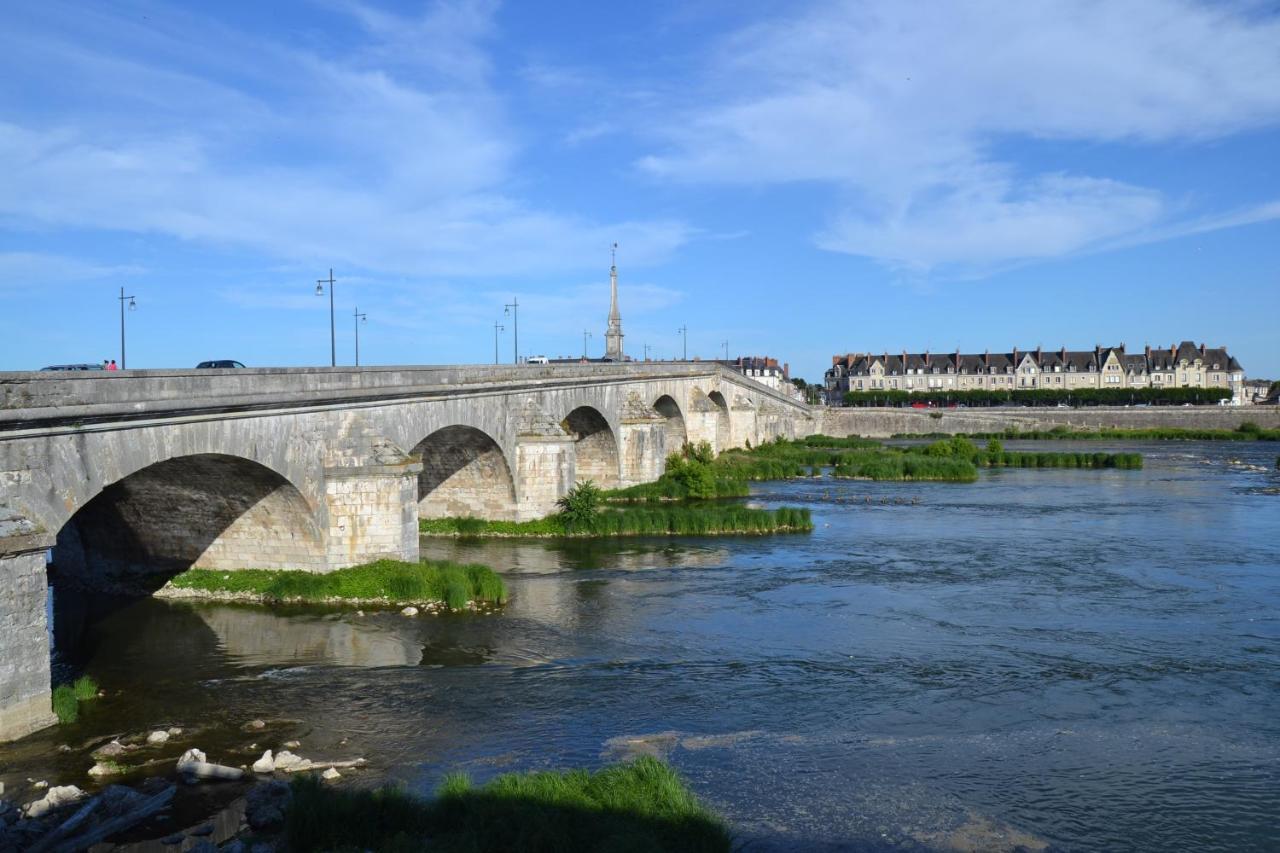 Entre Loire & Chateau - Vue Exceptionnelle A Blois Dış mekan fotoğraf